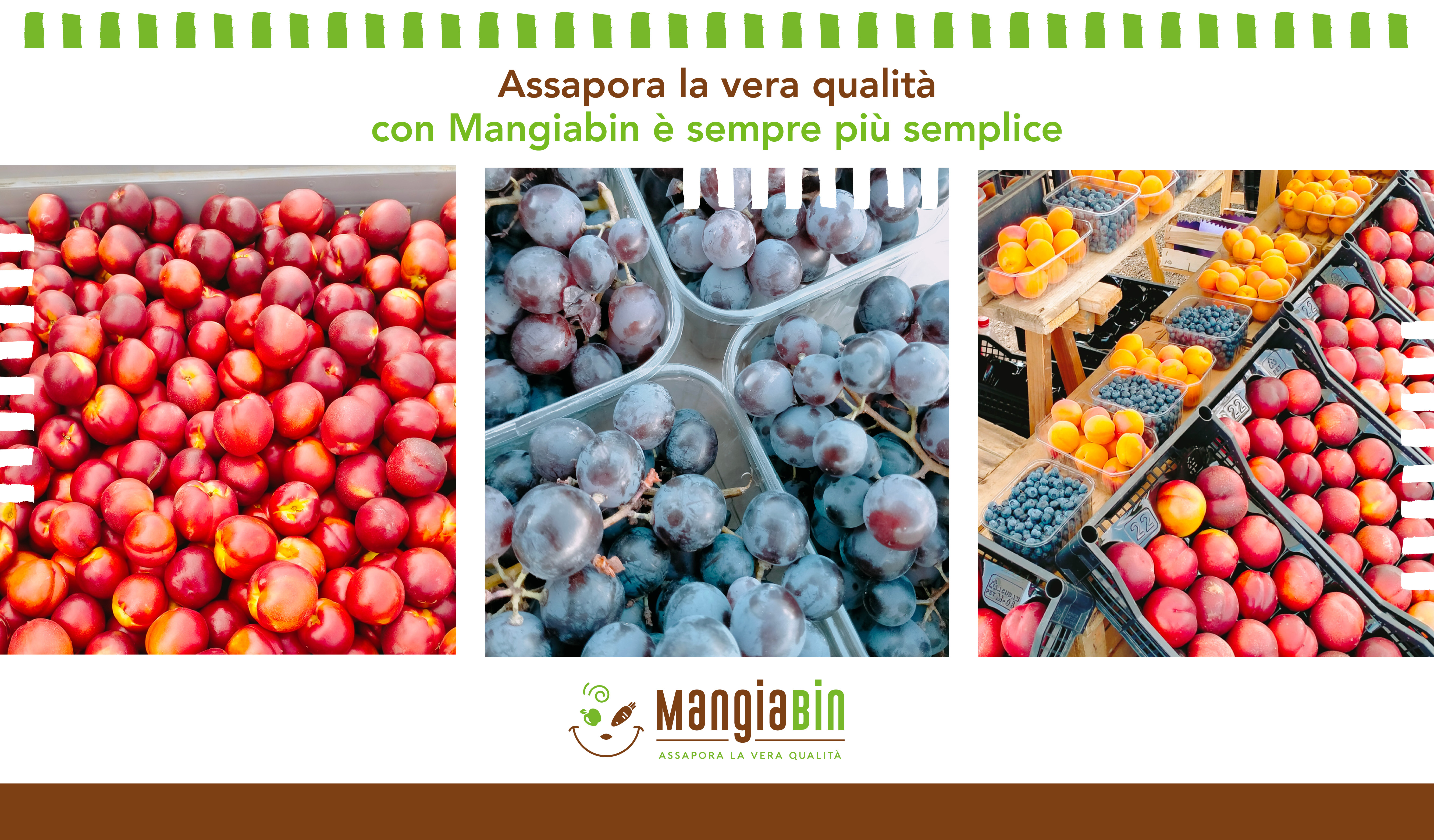Mangiabin - Assapora la vera qualità